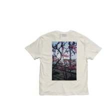 Load image into Gallery viewer, FEAR OF GOD ESSENTIALS Photo T-shirt White
